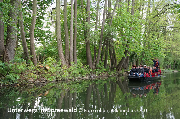 Spreewald & Oberlausitzer Seenland
