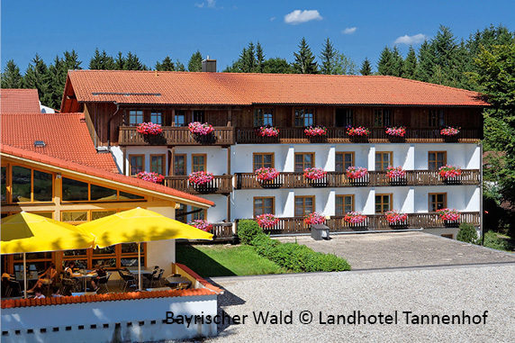 Bayerischer Wald