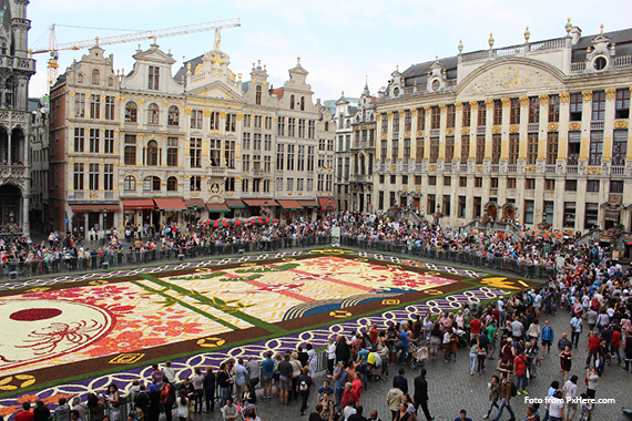 „Blumenteppich in Brüssel“