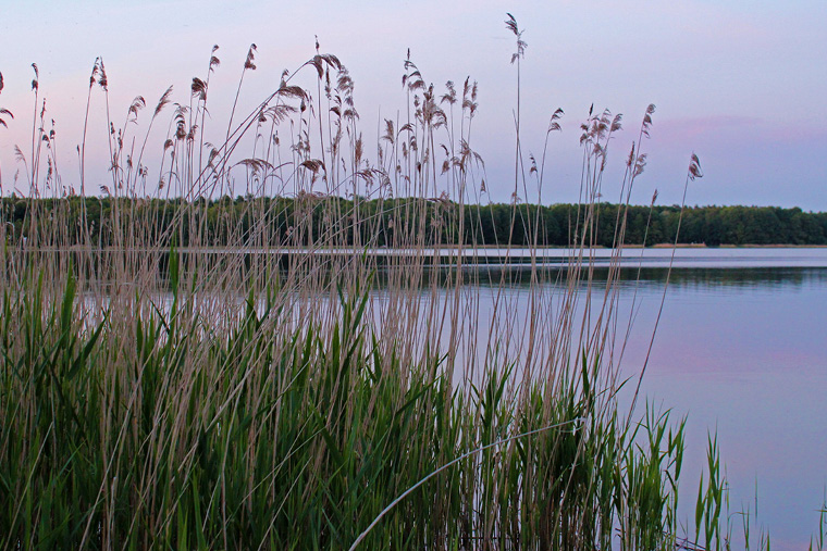 Dankeschön-Reisen ins Blaue Nr.1