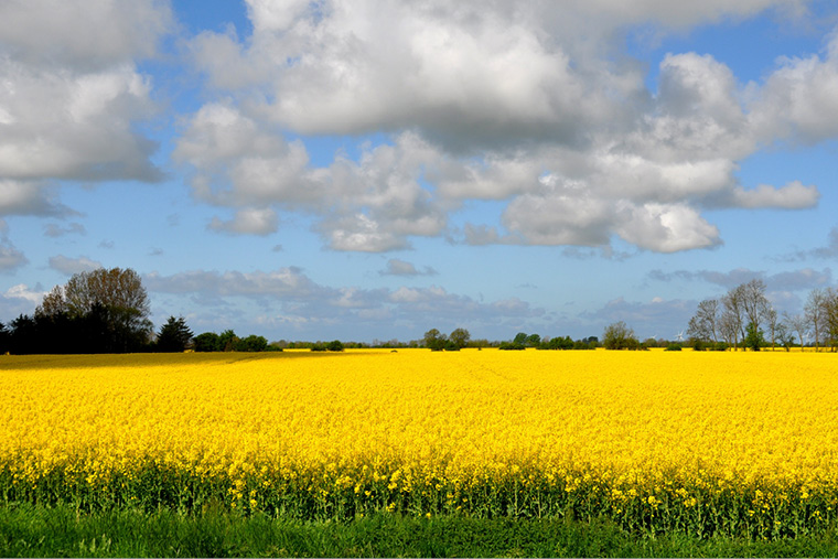 Dankeschön-Reisen ins Blaue Nr. 2